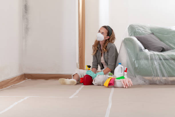 Reliable Mold Testing contractor in Salem, VA by WQB Mold Removal