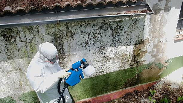 Top rated local Mold Testing specialists in Salem, VA